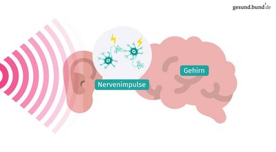 What causes hearing loss?