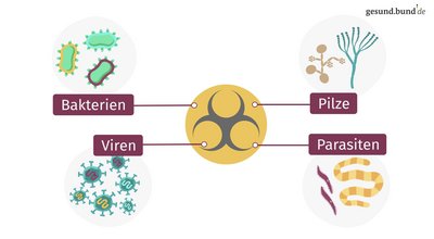 What are infectious diseases?
