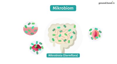 What is the microbiome?