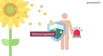 What is an allergy?
