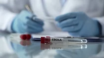 Auf einem Glastisch liegende Probenfläschchen mit roter Kappe und der Aufschrift Ebola.