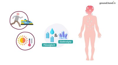 Why are electrolytes important?